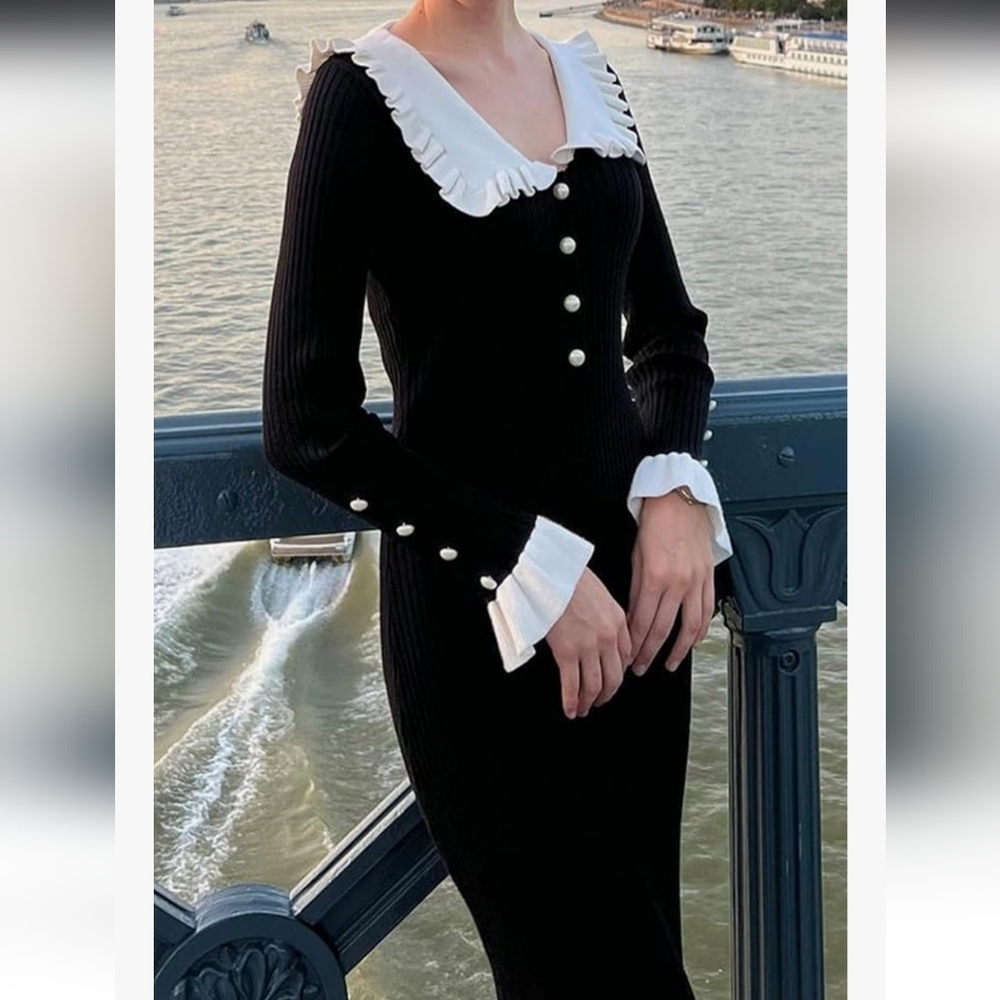 Chic Black and White Long Sleeve Dress - Picture 4 of 16